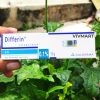 Gel trị mụn differin 15g-4