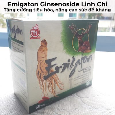 Emigaton ginsenoside linh chi - Tăng cường tiêu hóa, nâng cao sức đề kháng-11