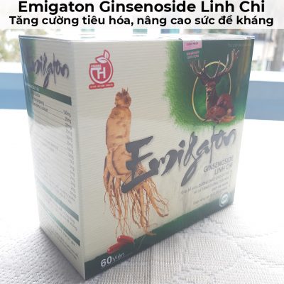 Emigaton ginsenoside linh chi - Tăng cường tiêu hóa, nâng cao sức đề kháng-9