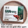 Gan Fotec - Bảo vệ và giải độc gan-1