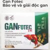 Gan Fotec - Bảo vệ và giải độc gan-13