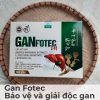 Gan Fotec - Bảo vệ và giải độc gan-3